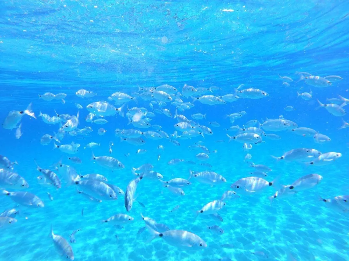 Villetta Cinzia Vista Mare 维拉普特祖 意大利