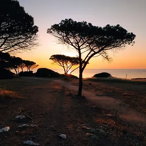  Casa vacanze Asfodelo